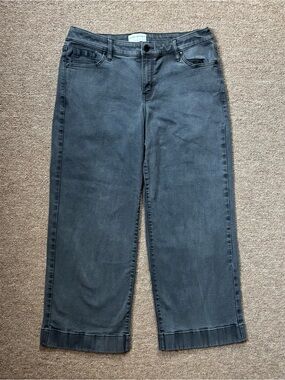 Lane Bryant Jeans Size 16